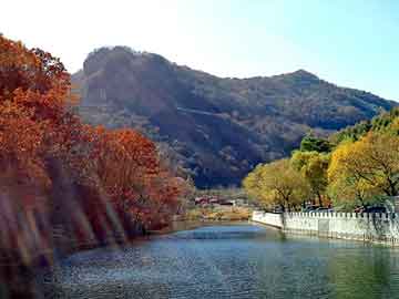 澳门二四六天天彩图库，丧尸女